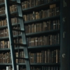 mothereader: A dark image of a library shelf with a black ladder across it. (books!)
