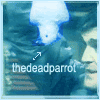 thedeadparrot: (thedeadparrot)